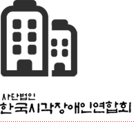 사단법인 한국시각장애인연합회